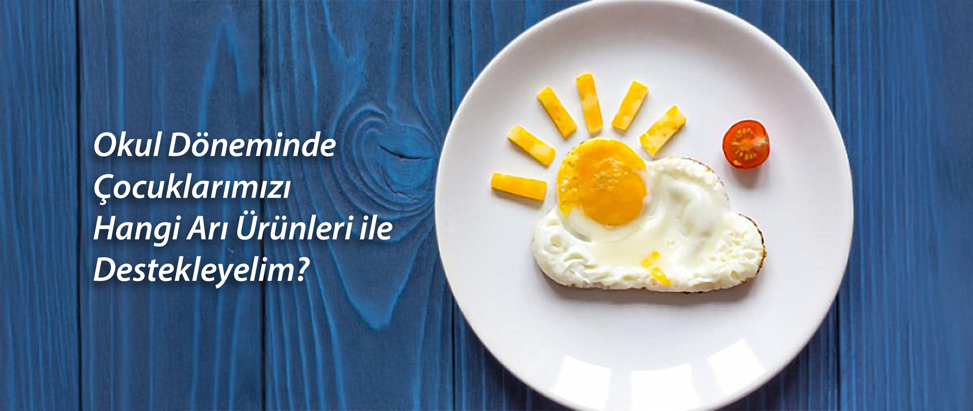 Arı Ürünleri